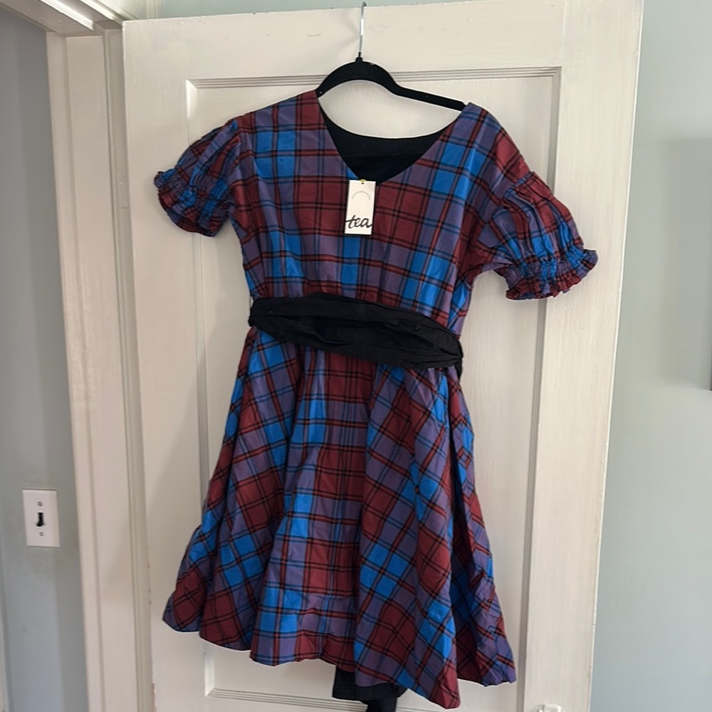 Tea Collection Blue and Red V-Neck Puff Sleeve Dress